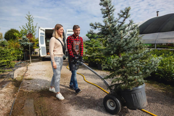 Best Pest Control for Lawns  in Rotan, TX